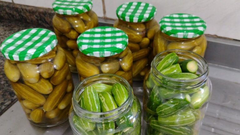 Como fazer Pepininho em conserva passo a passo cornichon