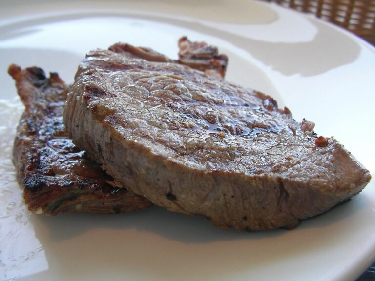 Como fazer bife na airfryer rapido e facil