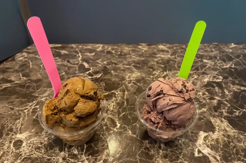 Sorvete caseiro: como fazer, receita simples e fácil Como fazer sorvete caseiro simples e cremoso no liquidificador