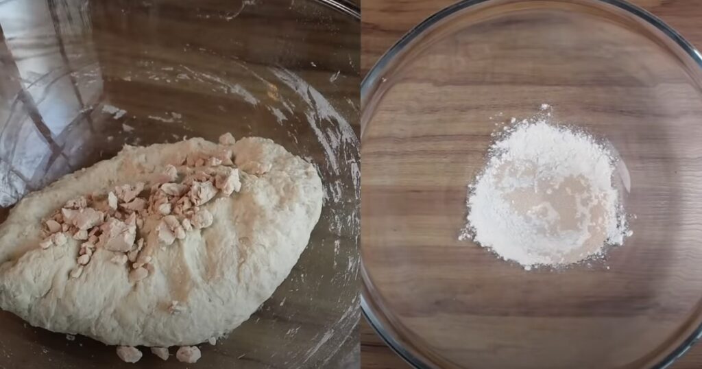 Fermento biológico Fermento biológico