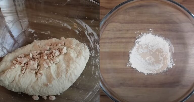 Fermento biológico: O que é? E quais os tipos Fermento biologico seco ou fresco