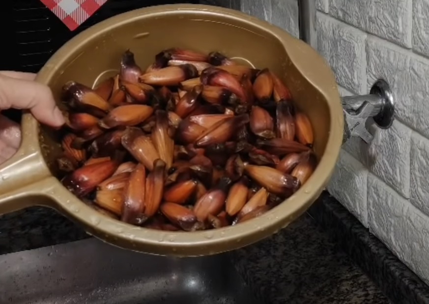 Comidas típicas do Sul comidas tipicas da regiao sul 6