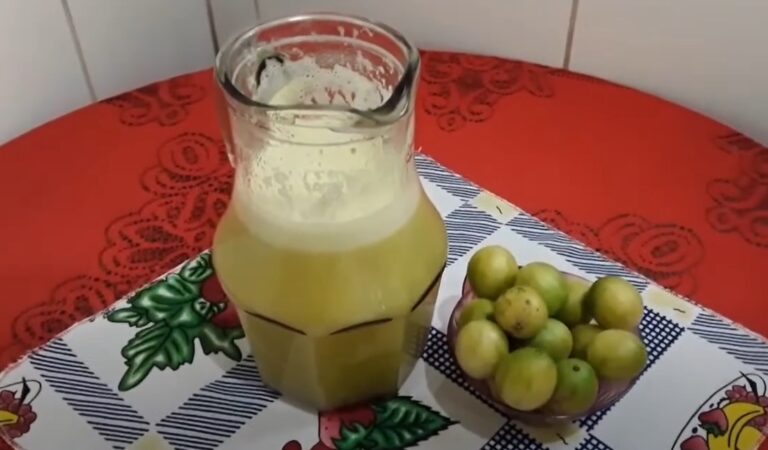 Como fazer suco de umbu receita simples e facil