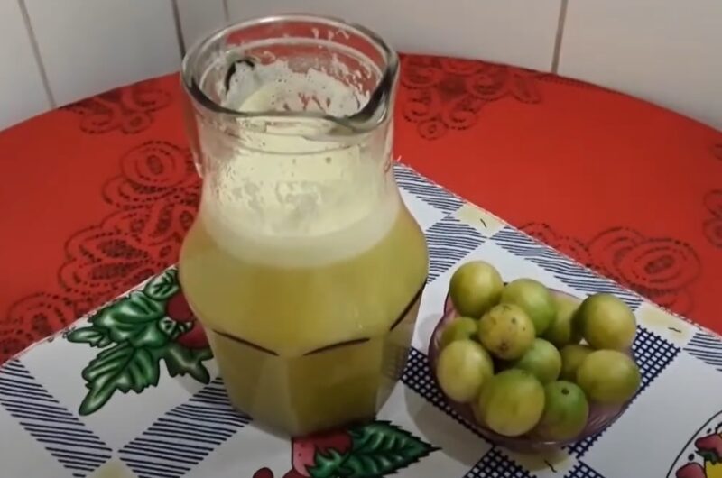 Como fazer suco de umbu simples e fácil
